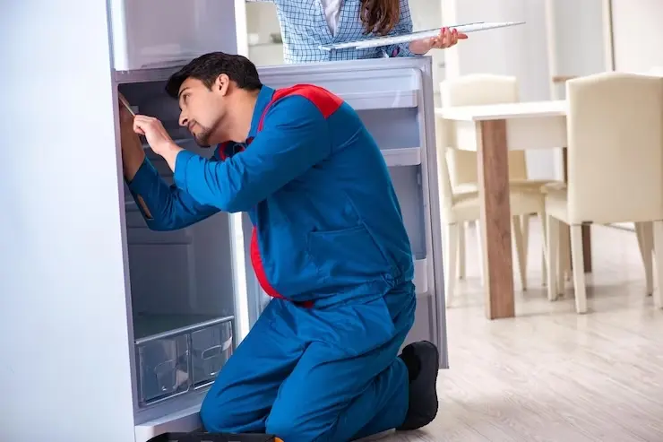 man-repairing-fridge-with-customer_656932-2391