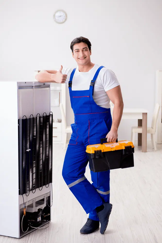 Fridge And Refrigerator Repair Specialists In Dubai